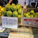(주)아인스에스엔씨 | 즐거운 만큼 힘들었던 한 주 | 230814-0820