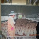 오리나라 이미지
