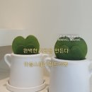 [맛집탐방/대전/서구/탄방동]: 대전 진주냉면 맛집 후기 &#34;이금신진주냉면&#34;