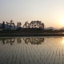 관산보건지소 이미지