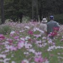 ‘다큐 & 뮤직 페스티벌’에서 수원시민 감동 이미지