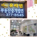 주식회사부동산중개법인비 이미지