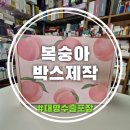 대명인쇄 - 북구 오봉로 83 | 복숭아박스제작 흔한 상자 대신 이것 바꿨더니 주문 폭주한 이유