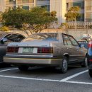 미스티2019(misty2019) | [길거리 Capture] Ver.24년 1월