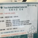 24시 당신의 동물의료센터 | 수원24시 당신의동물의료센터 시추 농피증 아토피 진료 솔직후기