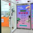 케이지모빌리티 서구서비스프라자 | 크리스티드게코 도마뱀 분양 용품판매점 인천 서구 파충류샵 크레리즘 검단아라 방문 후기