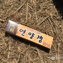 와트영어학원