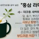 브레드_히어_(Bread_Here_) 이미지