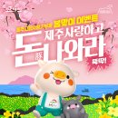 제주사랑 이미지