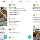 생선의민족 이미지