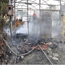 강정동-22 이미지