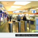영드로우 이미지