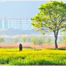 [2026. 04. 11. 토.]-[해. 10℃~21℃, 05:57~18:52]-[헬휴] 이미지