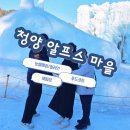 하이디알프스 | 청양 칠갑산 얼음축제, 알프스 마을 입장료(하이디커피무료받는법), 썰매장, 체험장종류