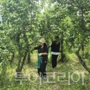 (주)새재산업 이미지