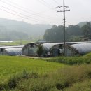 천지원 농장 이미지