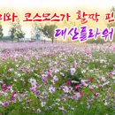 플라워랜드 - 부천시 소사구 성주로 195-4 | 플라워랜드