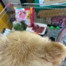 안면도하나마트 이미지