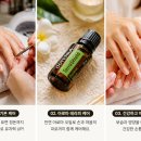 샬롬네일테라피