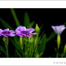 정원빌딩 이미지