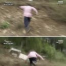 시에스타 이미지