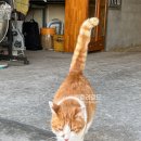 저스트홀스 이미지
