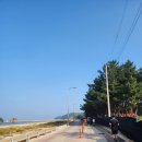 삼봉통나무펜션 | 2024 충남 태안 전국어울림마라톤 대회 하프 완주 + 안면도 구경 24.10.12