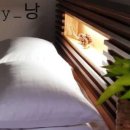 스테이낭 네이버블로그