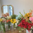 사파동372 이미지