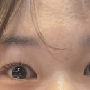 제주솔 이미지