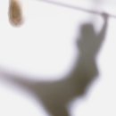 리앤뷰 필라테스 이미지