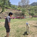 왕산골숲속 | 아기랑가기좋은캠핑장 왕산골 캠핑장 후기! 구미에 이런 곳이?