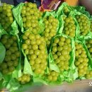 광훈농장 이미지