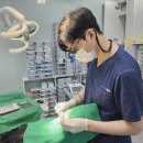 그랜드치과병원 | 삼산체육관역치과, '이걸' 먼저 설명하는 치과 과잉진료가 적은 이유