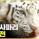 백호농장 이미지