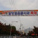 얼음골사과