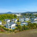 소랑세미 이미지