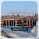 [충남여행] 당진 왜목마을 좌대낚시 | 초보도 우럭 들고 가는 시아호좌대 후기