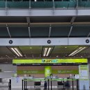 사계오름 | 여행]3박 4일 제주도 가족여행 1일차(포항경주공항,자매국수,사계오름,판포포구,소색채본 외)+ 솔직후기