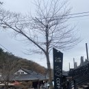 카페씨앤디마운틴