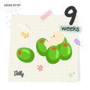 신선차 | 🤰시험관 신선 9주차 증상 | 입덧 없는 임신 초기 / 하리보 초음파 후기