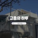 고흥의 하루 | 전남 고흥 맛집 고흥의 하루, 오션뷰 독채펜션 에서 즐기는 양식맛집 내돈내산 후기