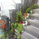 대천해수욕장 고려대수련원 | +2013.09 - 대천해수욕장 1박2일 여행 "대천해수욕장 펜션/숙박"