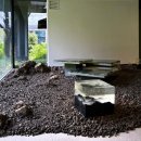 송정동 446-4 이미지