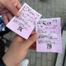 아빠랑 효도여행 2박3일 울릉도여행 2탄🇰🇷[+파란투어 내돈내산 이용후기]