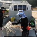 형래농장 이미지