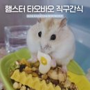 햄스터 귀여운 타오바오 직구 간식 후기
