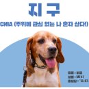 도래축산물 이미지
