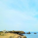 노랑제주 이미지