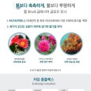 글래시어 이미지